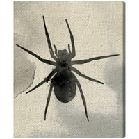 Avenue Avenue životinje zidne umjetničke platnene insekte Spider Silhouette - bijeli, crni
