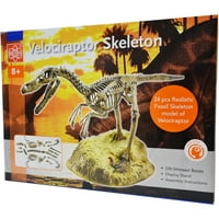 Igračke velociraptor kostur