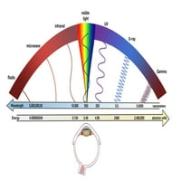 Ispis plakata elektromagnetskog spektra Spencer Sutton Science Source
