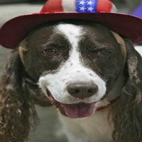 Frisco pas u četvrtoj paradi četvrtog srpnja Fred Lord