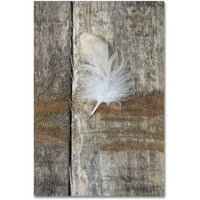 Zaštitni znak likovna umjetnost 'Feather on Wood I' Canvas Art by Cora Niele